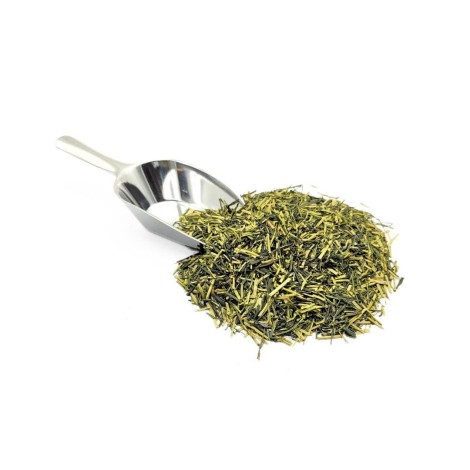 Kukicha Japanese Green Tea - Superior