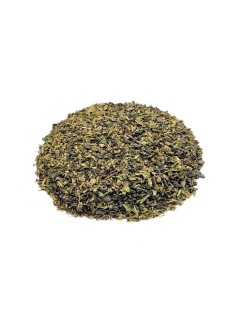 Chá Verde Marrakesh Mint