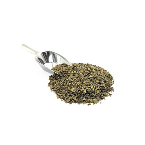 Green Tea Marrakesh Mint