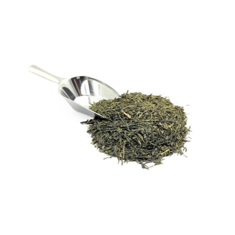 Té Verde Japonés Bancha - Superior