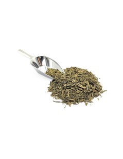 Grüner Tee Sencha