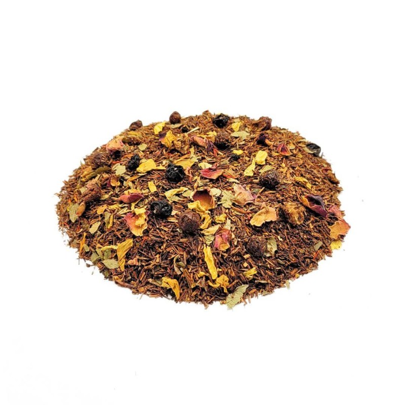 Rooibos Bagas Silvestres - aspalathus linearis