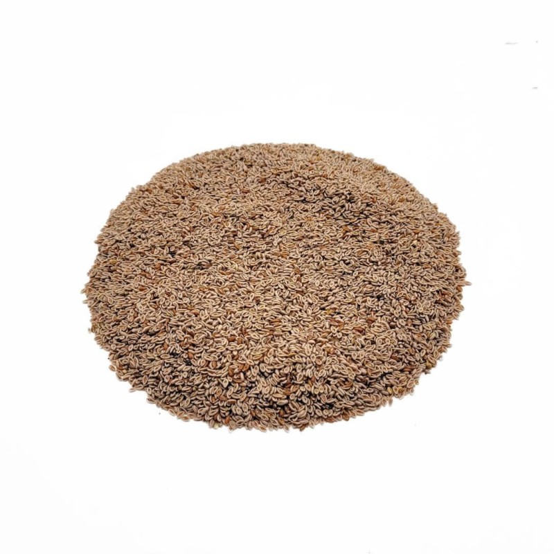 Blond Psyllium, Seeds (Plantago Ovata F)