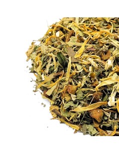 Tisana Vitalità (Moringa, Ginseng & Ginkgo)