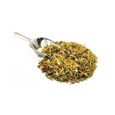 Tisana Vitalità (Moringa, Ginseng & Ginkgo)