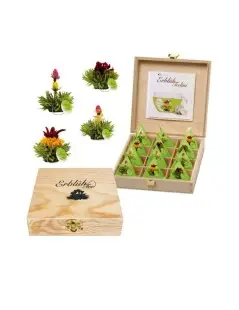 Caja de Madera Tealini con 12 Flores de Té Verde