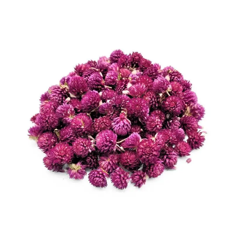 Thé du Gomphrena Globosa