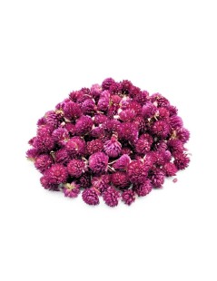 Thé du Gomphrena Globosa