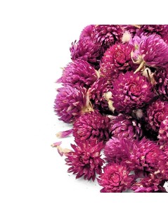 Tè di Gomphrena Globosa