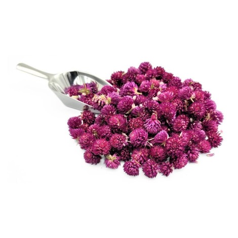 Tè di Gomphrena Globosa