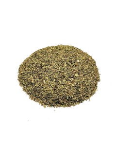 Grüne Minze (Mentha spicata)