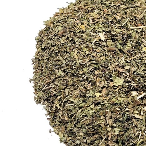 Grüne Minze (Mentha spicata)