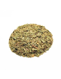 Citronella foglie (Cymbopogon citratus)