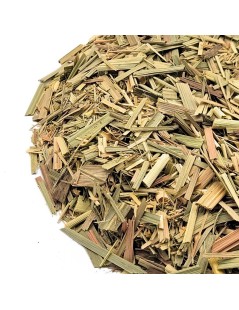 Citronella foglie (Cymbopogon citratus)