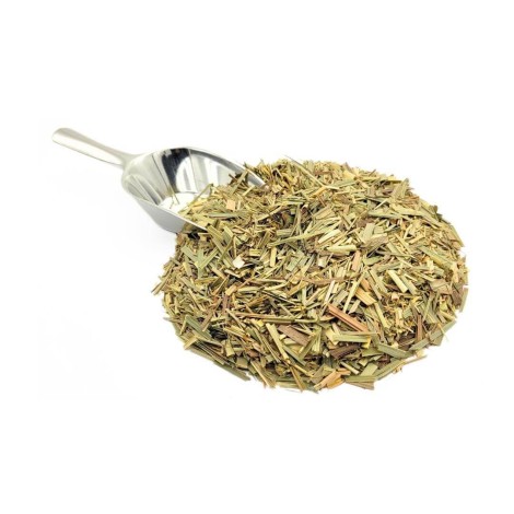 Citronella foglie (Cymbopogon citratus)