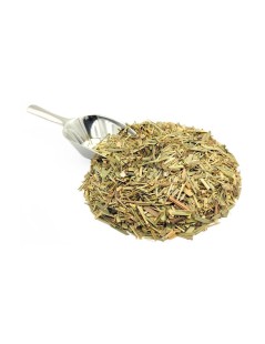 Citronella foglie (Cymbopogon citratus)