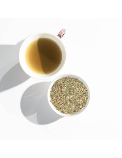 Hierba Limón hojas (Cymbopogon citratus)