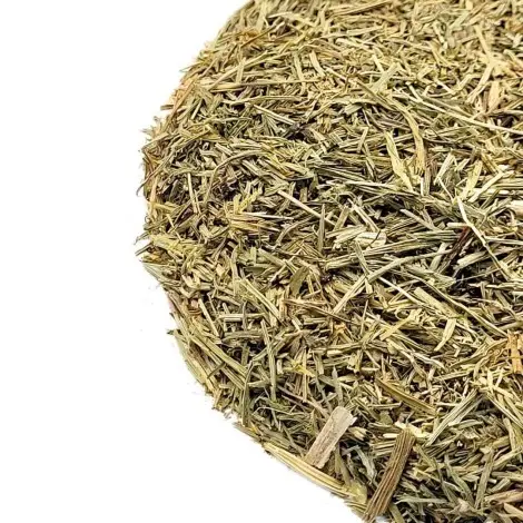 Equiseto, pianta (Equisetum Arvense)