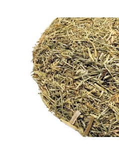 Horsetail Herbal Tea (Equisetum Arvense)