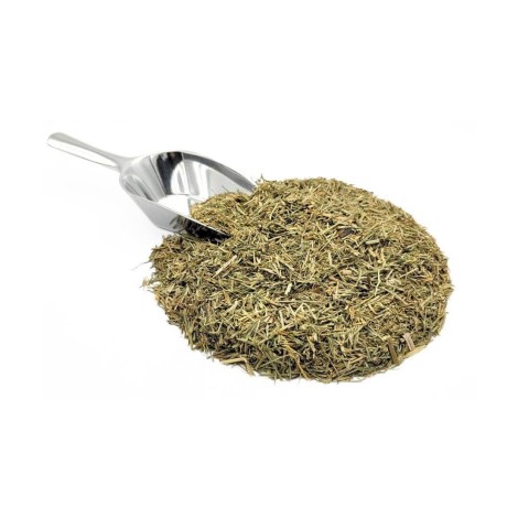 Horsetail Herbal Tea (Equisetum Arvense)