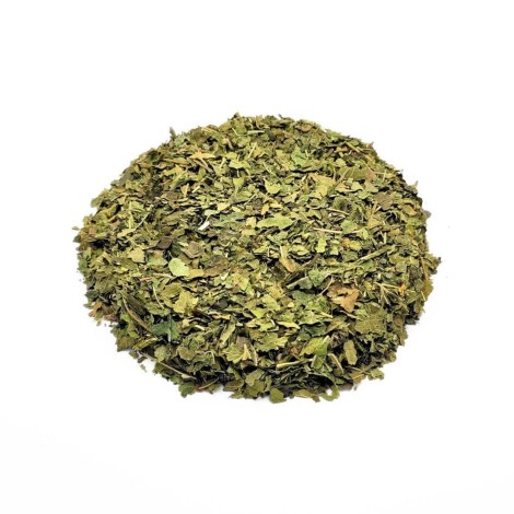 Mûrier, Feuilles (Morus nigra L.)