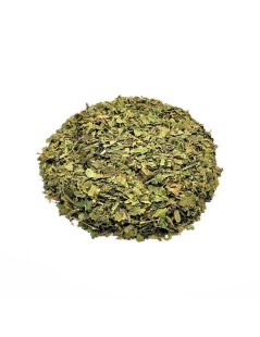 Mûrier, Feuilles (Morus nigra L.)