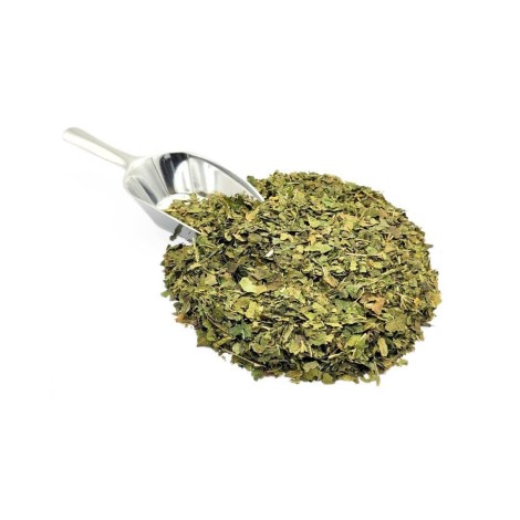 Mûrier, Feuilles (Morus nigra L.)