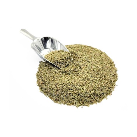 Romero Hojas (Rosmarinus officinalis)