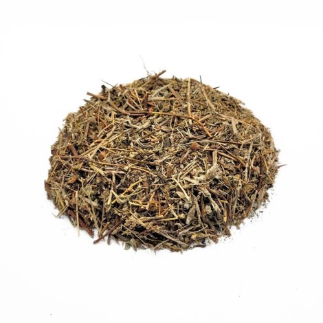 Calafito pflanze - Filziges Johanniskraut (Hypericum tomentosum)