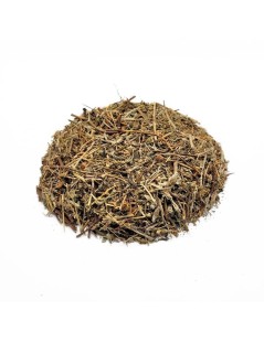 Tè di Calafito, Pianta (Hypericum tomentosum)