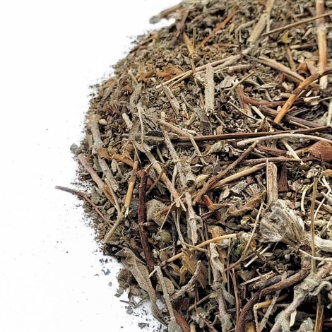 Calafito pflanze - Filziges Johanniskraut (Hypericum tomentosum)