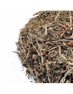 Calafito Herbal Tea - Woolly St John's-wort (Hypericum tomentosum)