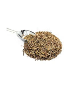 Calafito Herbal Tea - Woolly St John's-wort (Hypericum tomentosum)