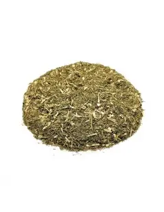 Artemisia Annua, Planta