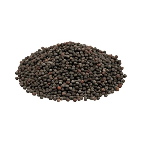 Semillas de Mostaza Negra | Brassica nigra | Propiedades y Beneficios