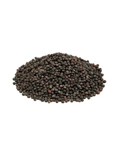 Semi di Senape Nera | Brassica nigra | Benefici e Proprietà per la Salute