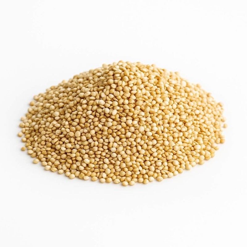 Semi di Quinoa (Chenopodium quinoa) - Superfood
