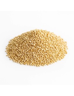 Semi di Quinoa (Chenopodium quinoa) - Superfood