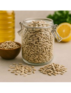 As Semente de Girassol são nutritivas e ricas em Vitaminas e Sais Minerais