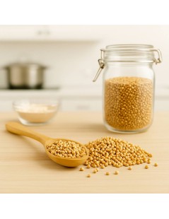 Mostaza Blanca Sinapis Alba | Utiliza en la preparación de condimentos