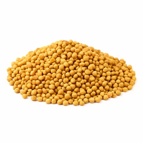 Mostaza Blanca Sinapis Alba | Utiliza en la preparación de condimentos