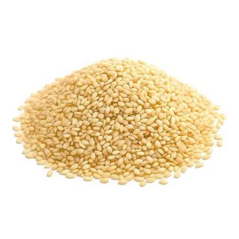 Semi di Sesamo Bianco (Sesamum indicum L.): Benefici e Usi
