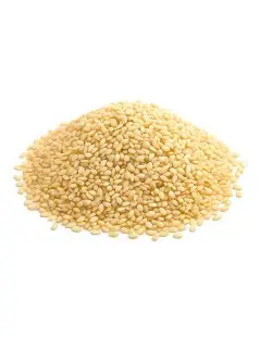 Semi di Sesamo Bianco (Sesamum indicum L.): Benefici e Usi
