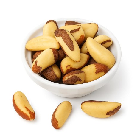 Die Mutter des Maranhão | Pará | Brasilien | Quelle von Selen und Antioxidantien