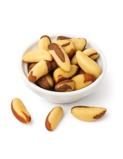 Die Mutter des Maranhão | Pará | Brasilien | Quelle von Selen und Antioxidantien