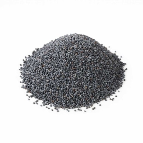Graines de Pavot | Papaver somniferum | Est un aliment riche et nutritif