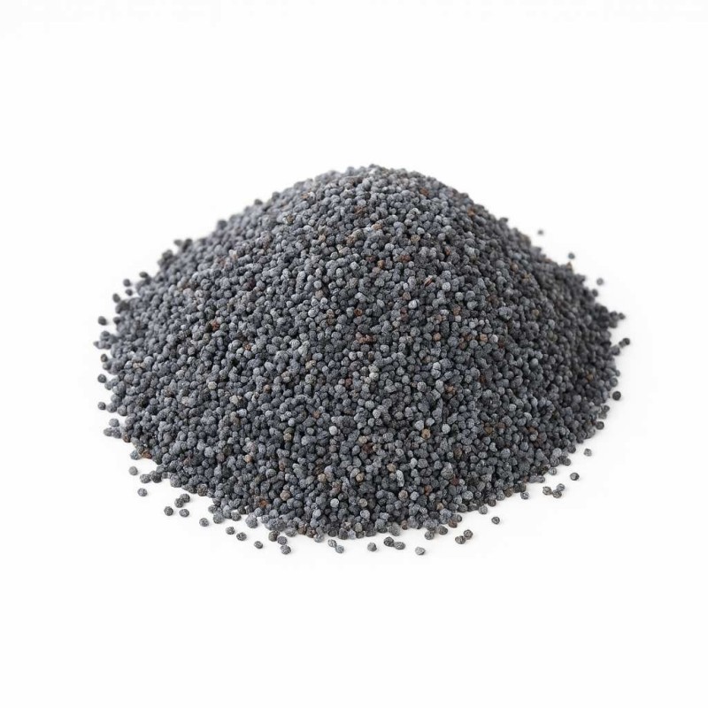 Graines de Pavot | Papaver somniferum | Est un aliment riche et nutritif