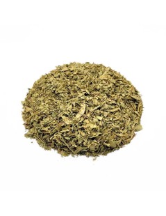 Lúcia-lima, Folhas (Aloysia citrodora) - Premium