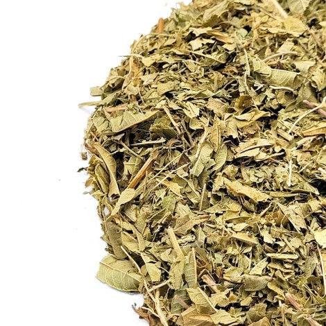 Lúcia-lima, Folhas (Aloysia citrodora) - Premium