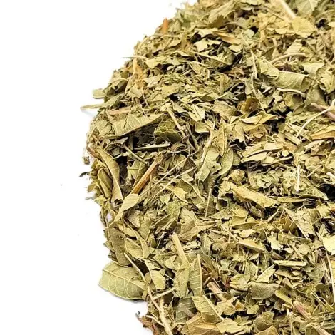 Verveine Cintronnelle, Feuilles (Aloysia citrodora) - Premium